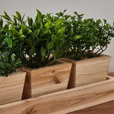 Wooden 3-Piece Mixed Plant in Pot Set