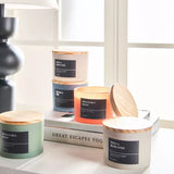 Ambience Core Lemongrass and Ginger Scented Jar Candle