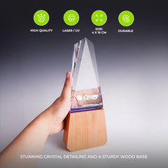K9 3D Logo Crystal Trophy with Wood Base