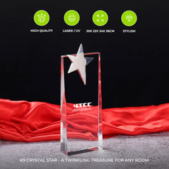 Star Shaped Award Trophy