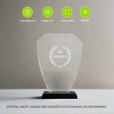 Crystal Merit Award