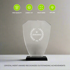 Crystal Merit Award