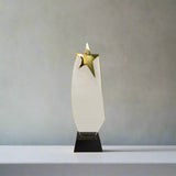 Star of Excellence Award
