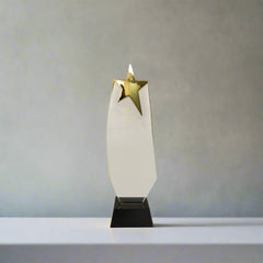 Star of Excellence Award