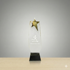 Star of Excellence Award