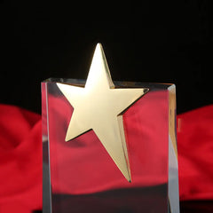 Star Shaped Award Trophy