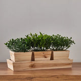 Wooden 3-Piece Mixed Plant in Pot Set