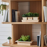 Wooden 3-Piece Mixed Plant in Pot Set