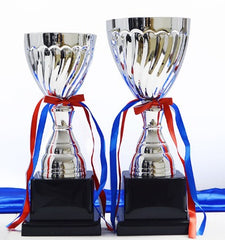 Silver Trophy with Red and Blue Ribbon