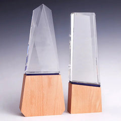 K9 3D Logo Crystal Trophy with Wood Base