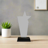 Trophy award