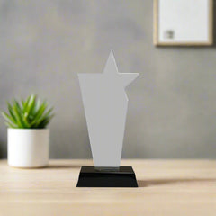 Trophy award