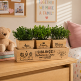 Wooden 3-Piece Mixed Plant in Pot Set
