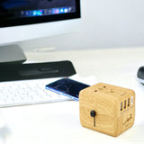 Wooden World Travel Adaptor