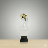 Star of Excellence Award