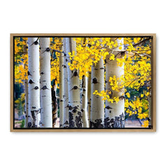 Customized Stretched Canvas Prints with Frame