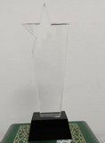 Trophy award