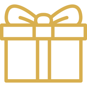 Gift box icon