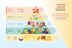 Food Pyramid Vectors