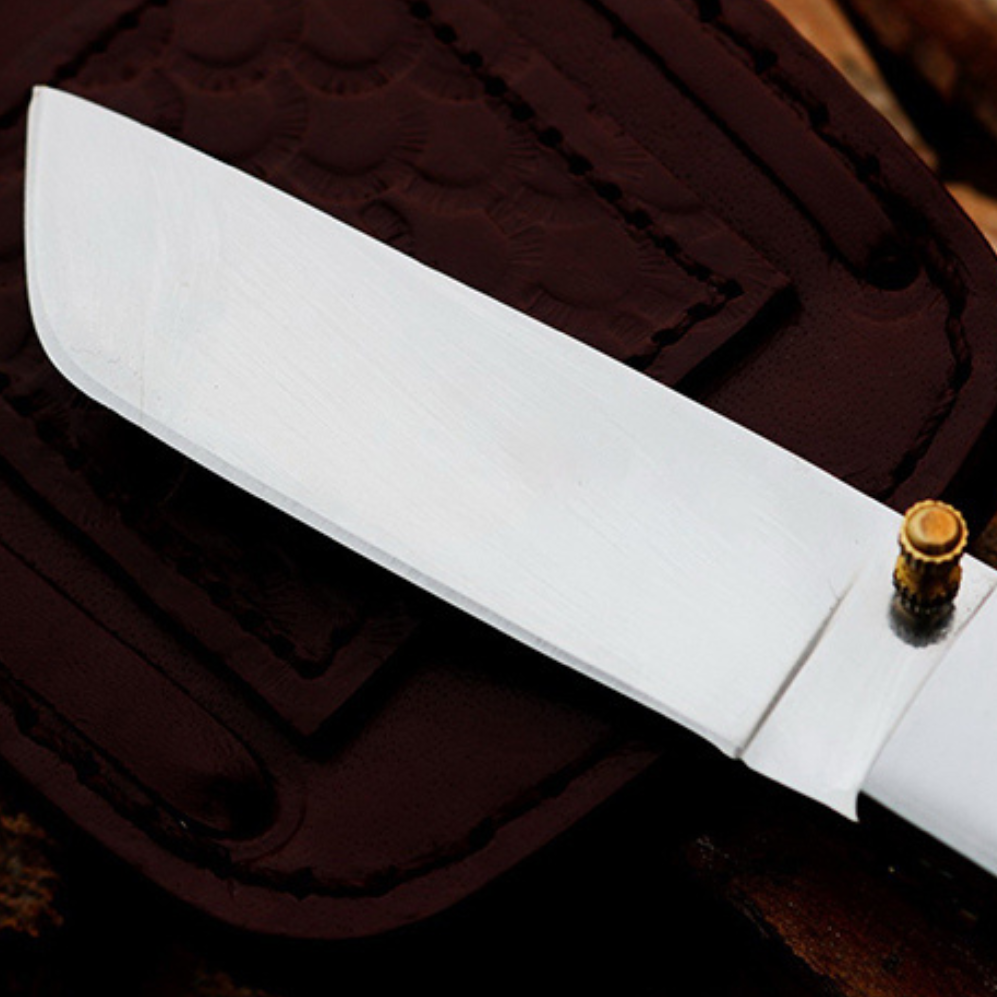 Black Scorpion 8? Long 4?Blade? 6oz 440c High Mirror Polished Pocket knives Handmade Damascus Pocket Folding Knife Handmade Word Class knives