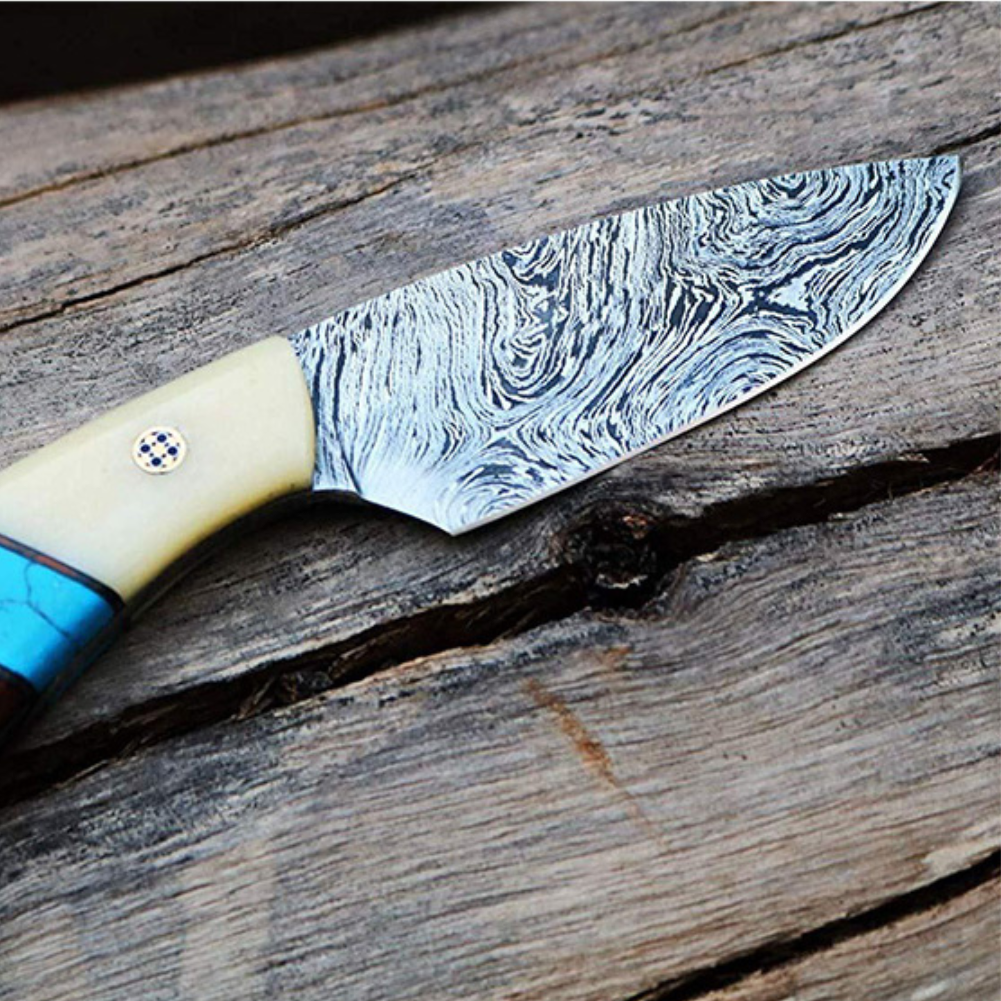 Blue Racer Lizard 6.5 Inches Long 3 Inches Blade 10 Ounce Damascus Skinner Hunting Fixed Blade Knife