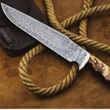 Frilled Shark Damascus Knife 12 Inches Long 8 Inches Blade 14 Ounce Damascus Hunting Fixed Blade Thin Bowie Knife Handmade