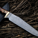 Frilled Shark Damascus Knife 12 Inches Long 8 Inches Blade 14 Ounce Damascus Hunting Fixed Blade Thin Bowie Knife Handmade