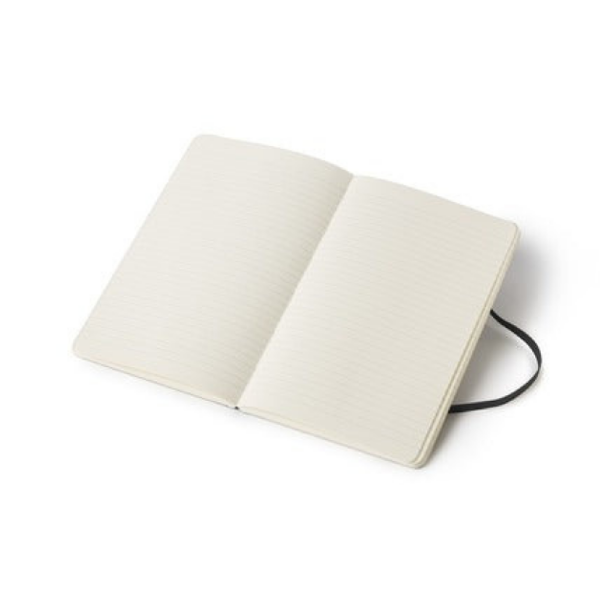 Moleskine Classic Large Ruled Hard Cover Notebook